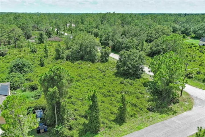Aerial view of a forest