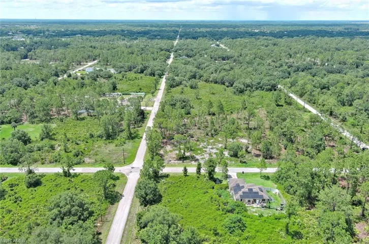 Bird's eye view of a forest