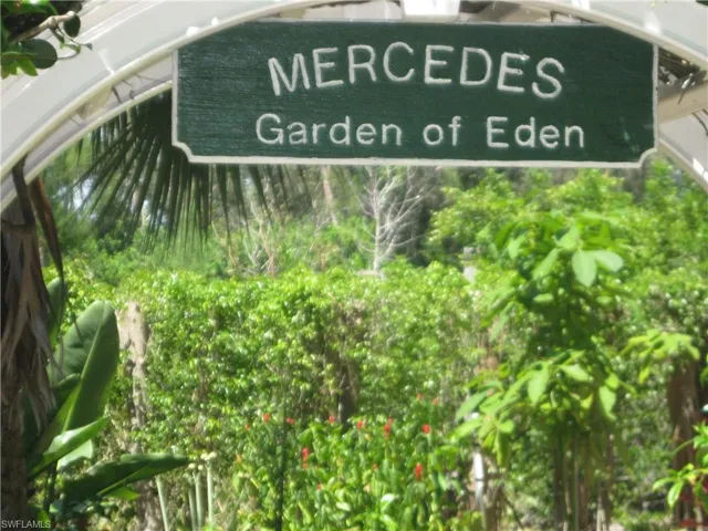 View of community garden