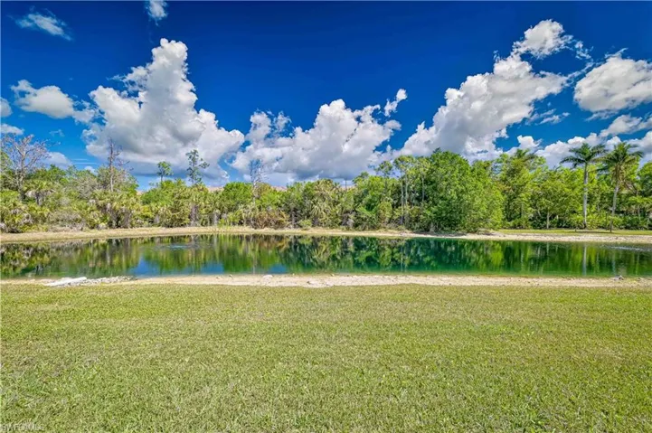 The back yard!