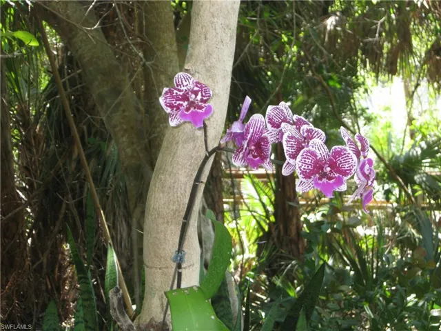 One of Mercedes Garden's favorites