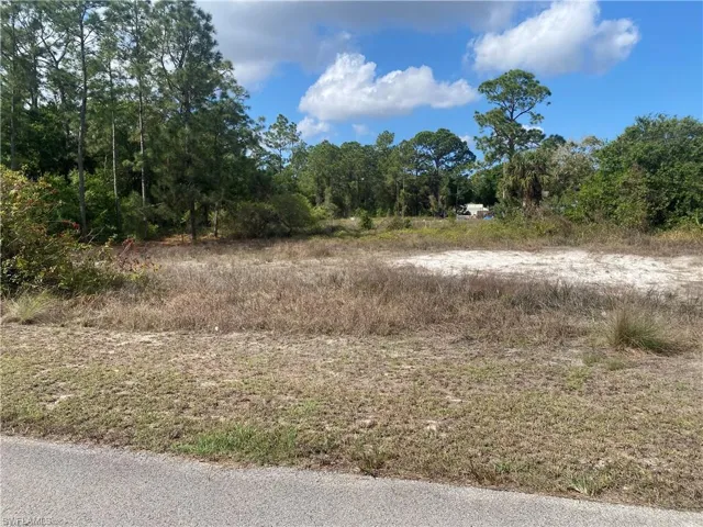 View of local wilderness