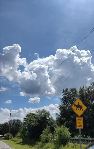 View of nature