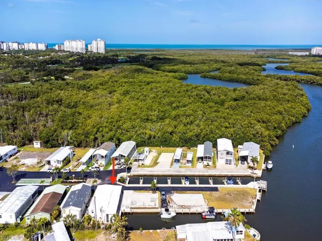 Drone / aerial view featuring a wooded view and a water view