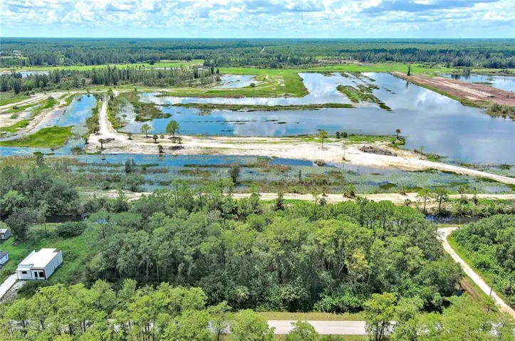 Bird's eye view of a forest and a large body of water
