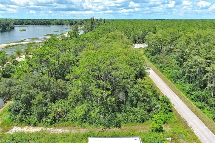 Drone / aerial view of a large body of water and a forest