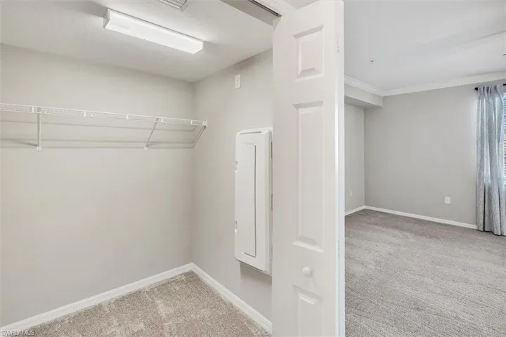 Walk in closet with light colored carpet
