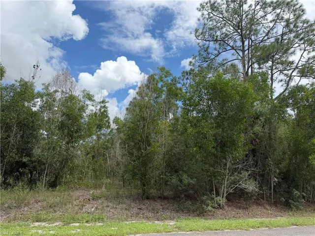 216 Scott Ave, Lehigh Acres, Florida 33936