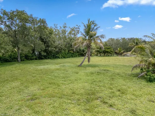 View of green lawn
