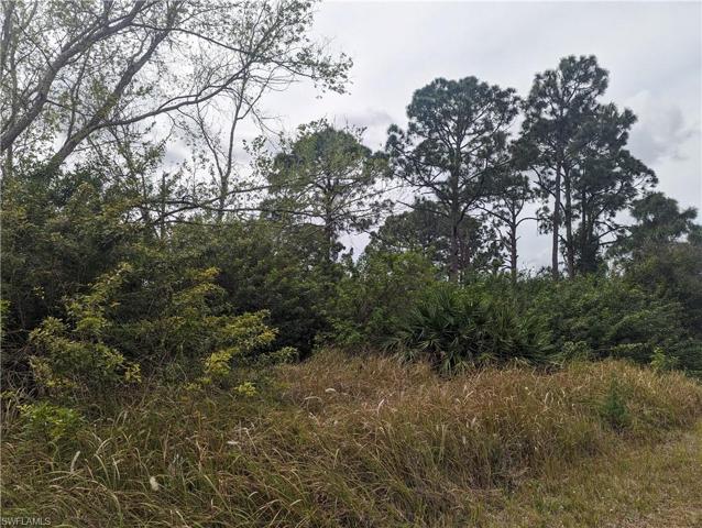 3311  16th W ST, LEHIGH ACRES, FL 33971
