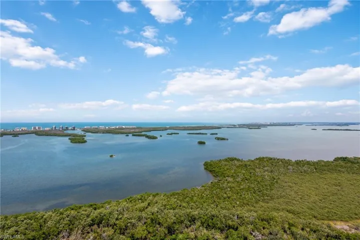 Estero Bay & Gulf of Mexico Views