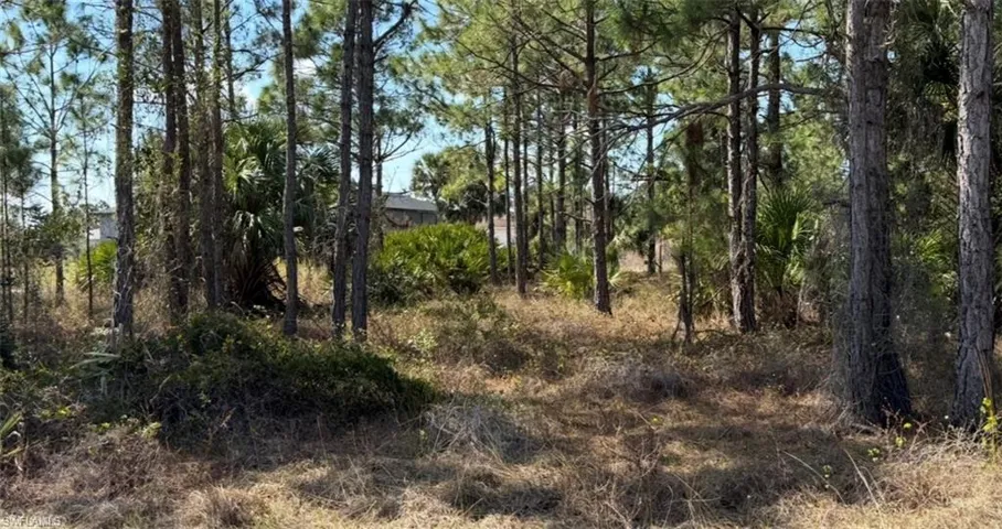 844 Bianca Ave S, Lehigh Acres, Florida 33974