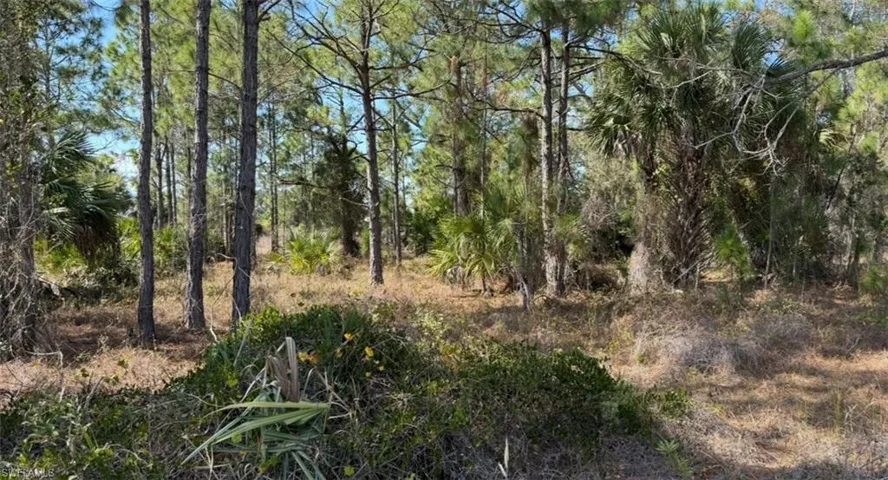 844 Bianca Ave S, Lehigh Acres, Florida 33974