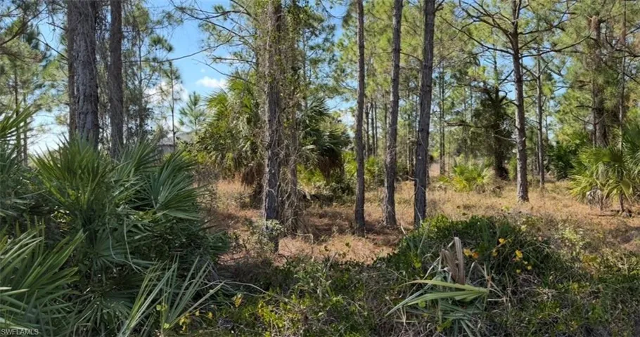 844 Bianca Ave S, Lehigh Acres, Florida 33974