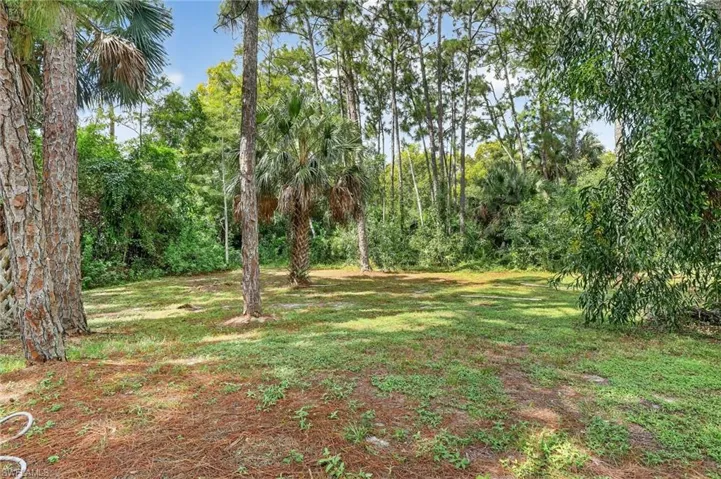 View of green lawn