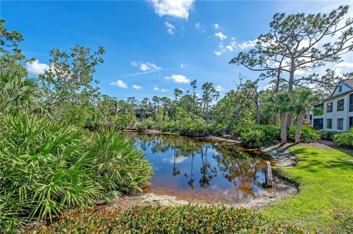 Lake and preserve behind the home.