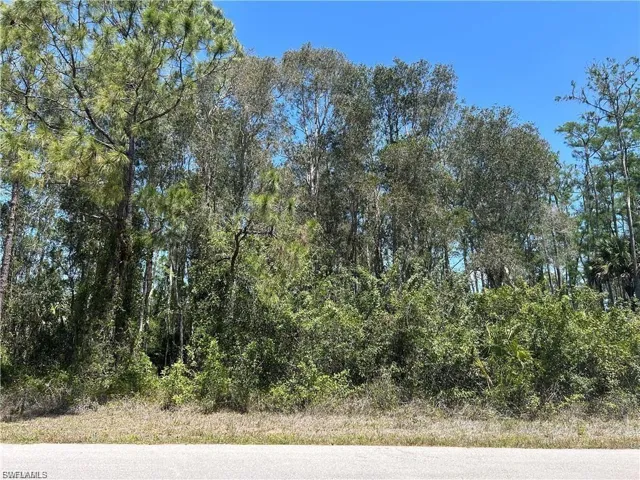 665 Knapp St, Lehigh Acres, Florida 33974