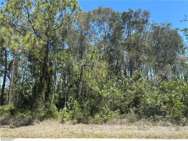 665 Knapp St, Lehigh Acres, Florida 33974
