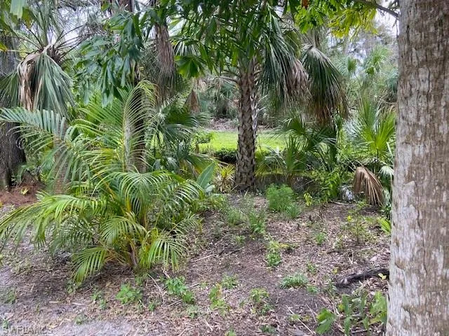 Old Florida at it's finest.