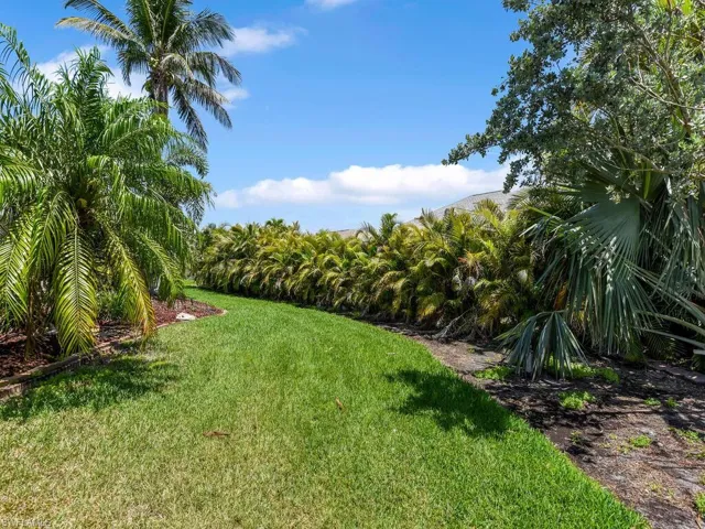 Private Backyard