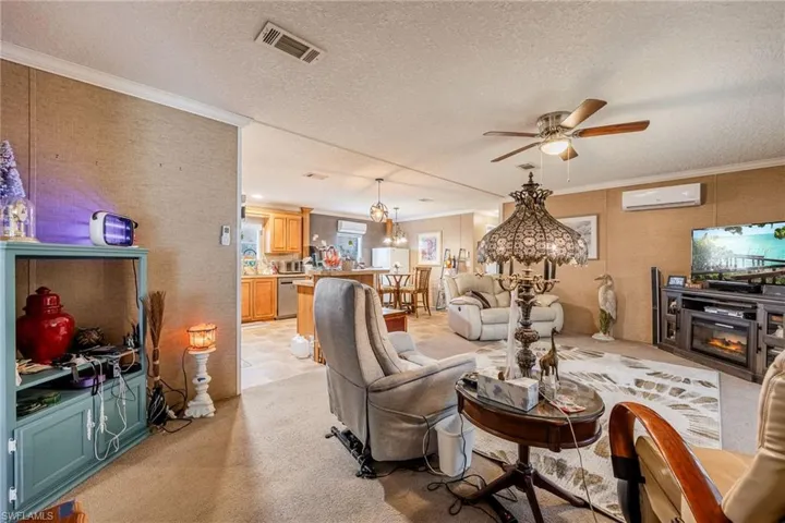 Spacious Living space includes the fireplace with heat, power lift chair, power dual recliner, and rug.