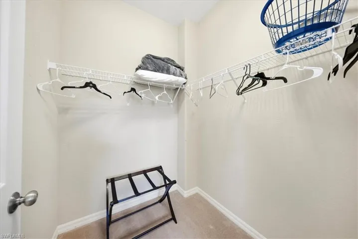 Spacious closet featuring light carpet