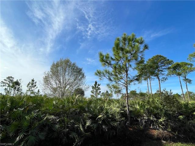 2381  Christopher  LN, Clewiston, FL 33440