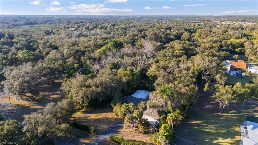 Aerial view of a forest