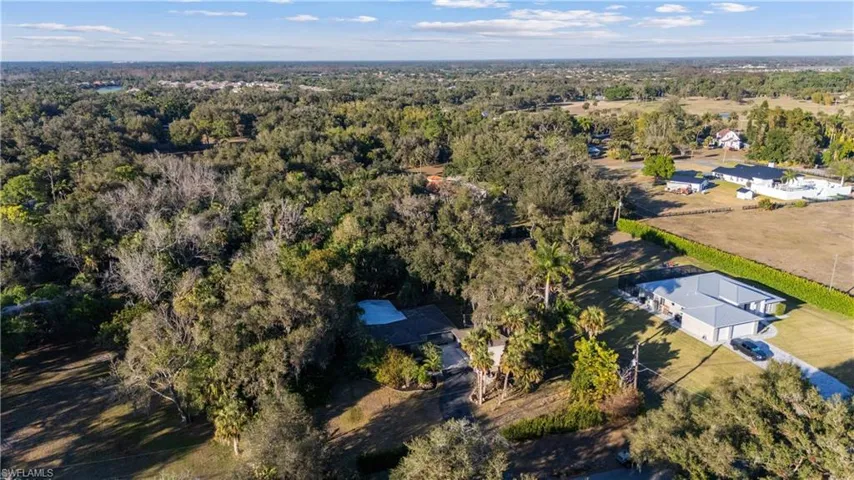 Drone / aerial view of a forest