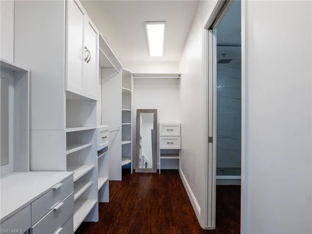 Master bedroom walking closet