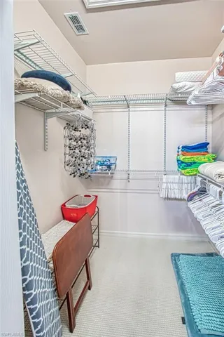 Spacious closet featuring visible vents and carpet flooring