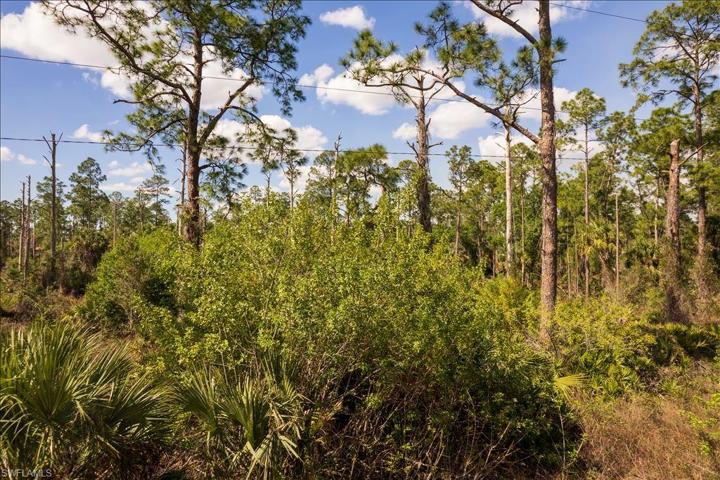 809 Irving AVE, LEHIGH ACRES FL 33972