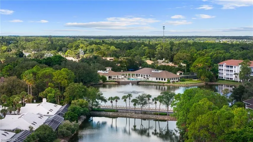 Drone / aerial view of a large body of water and a forest