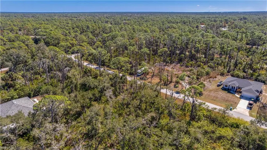 Drone / aerial view of a forest