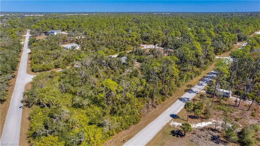 Bird's eye view of a heavily wooded area