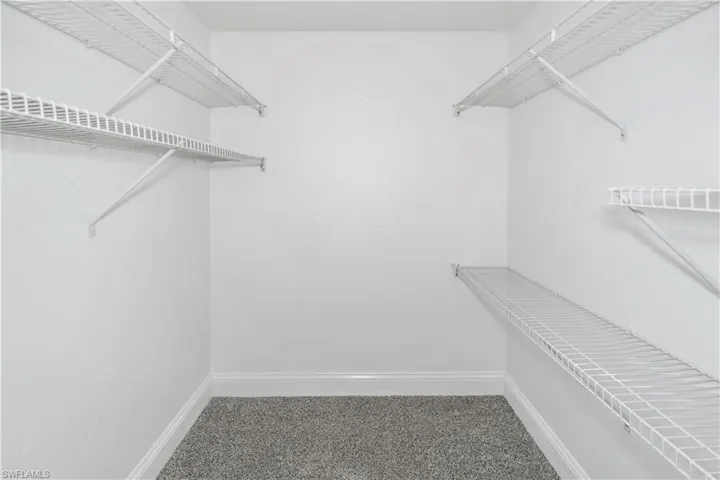 Walk in closet featuring carpet floors