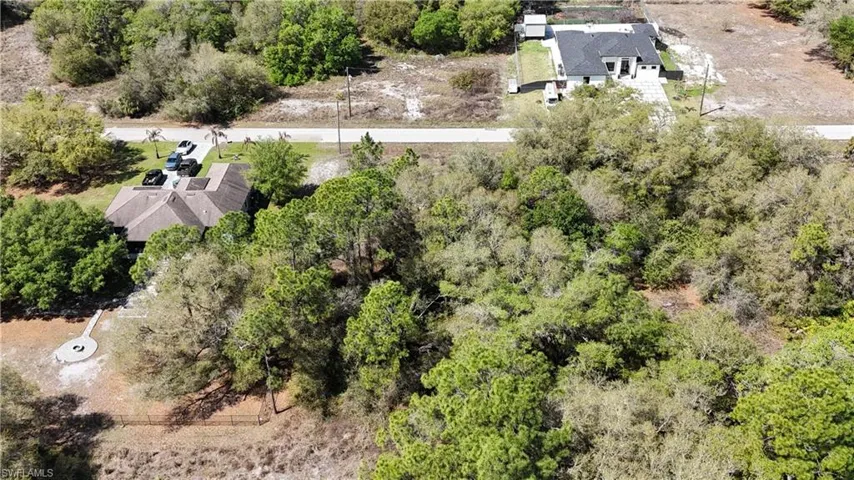 Drone / aerial view of a tree filled landscape