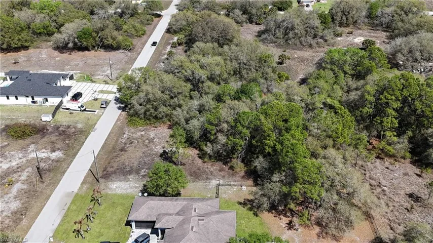 Drone / aerial view of a tree filled landscape