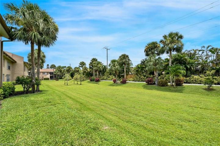 Back Yard view