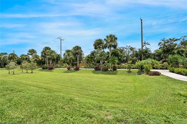 Back Yard view