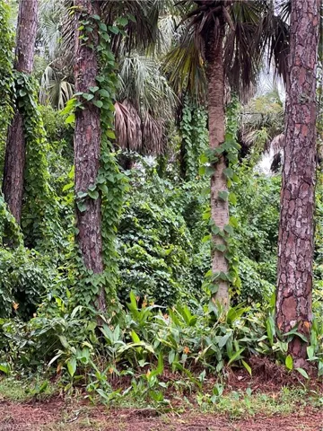 460  39th NE AVE, Naples, FL 34120
