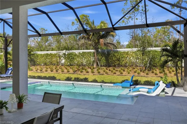 Custom heated pool and spa framed by an expansive screened enclosure and preserve views.