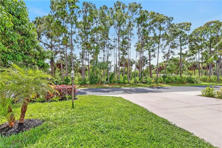 11180 La Coruna Ln, Bonita Springs, Florida 34135
