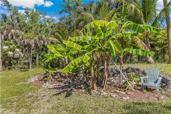 Fruit Trees