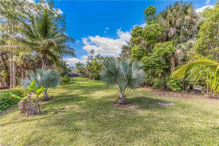 Lush Landscaping