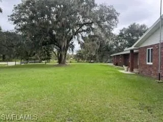 View of grassy yard