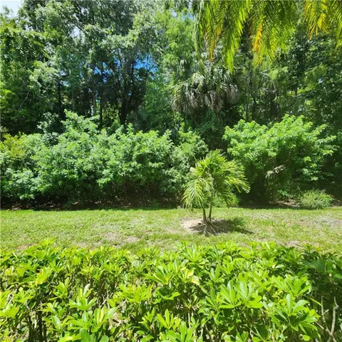 Private Woods View