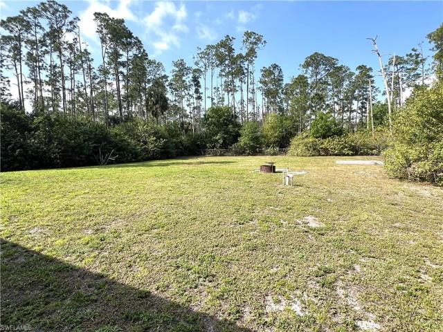 1009 Edison AVE, LEHIGH ACRES FL 33972