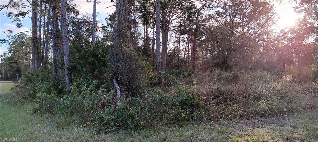 1224 Ramus ST E, LEHIGH ACRES FL 33974