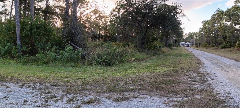 1224 Ramus ST E, LEHIGH ACRES FL 33974